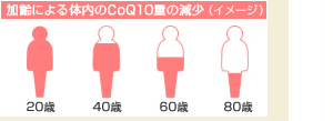 加齢による体内のCoQ10量の減少（イメージ）