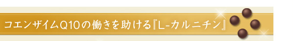RGUCQ10̓wL-Jj`x