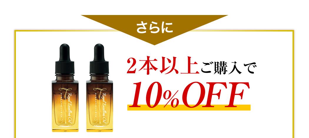  2{ȏゲw10%OFF