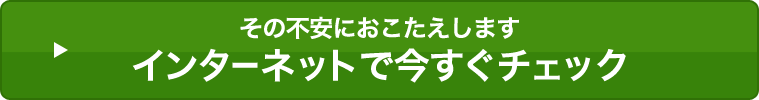 ̕sɂ܂ C^[lbgō`FbN