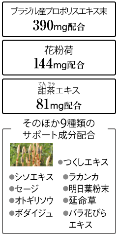 uWYv|XGLX 390mgܗL ԕ 144mg [GLX 81mg ̂ق9ނ̃T|[gz GLX V\GLX JJ {_CW Z[W t oԂтGLX IgM\E 