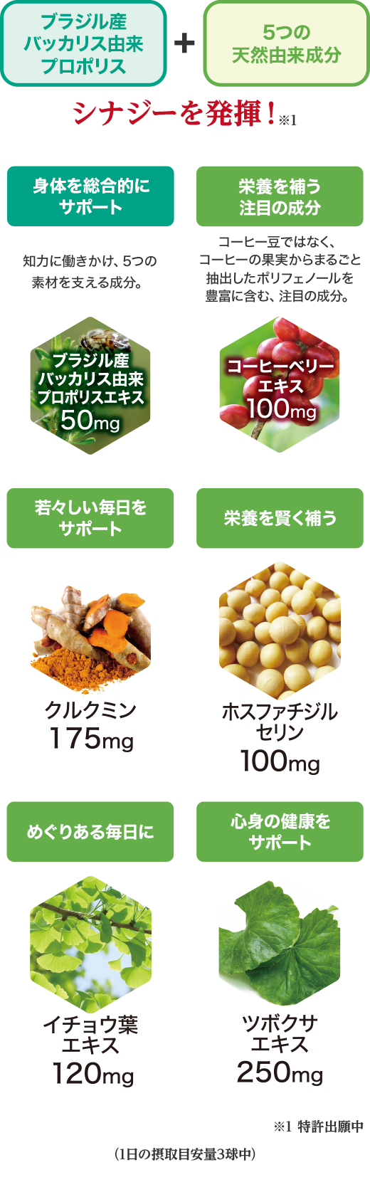 冬の健康応援キャンペーン | 山田養蜂場