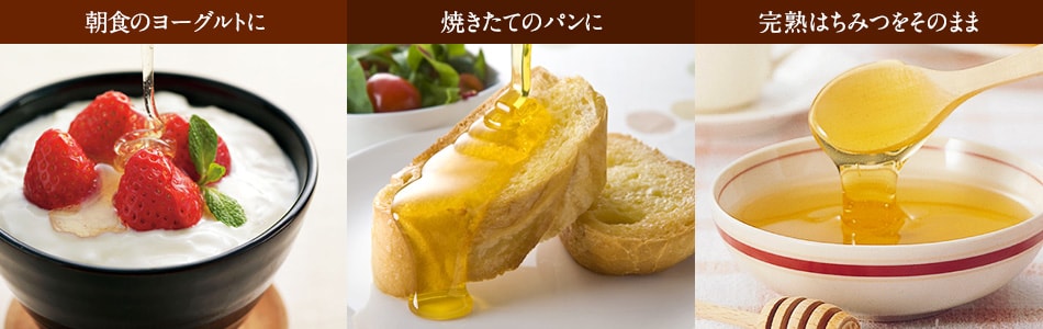 H̃[OgɁAĂẴpɁAn݂͂̂܂