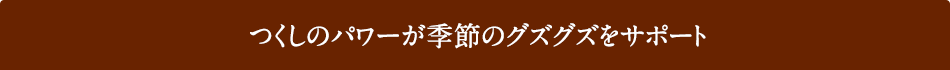 ̃p[G߂̃OYOYT|[g