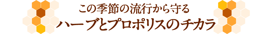̋G߂̗sn[uƃv|X̃`J