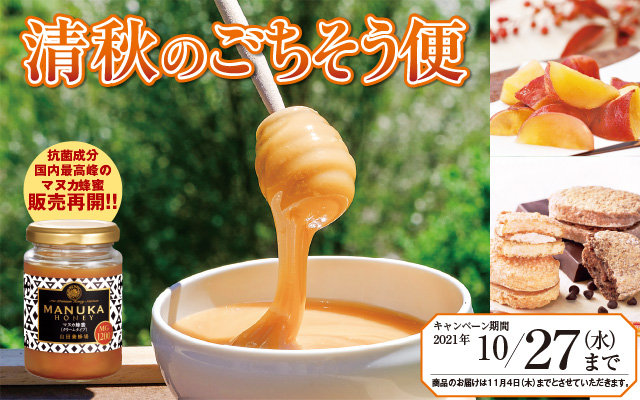 山田養蜂場 マヌカハニー MG100 200g×3個　アカシア蜂蜜100g×1個 山田養蜂場 マヌカハニー MG100 200g×3個 アカシア蜂蜜100g×1個
