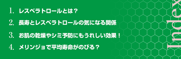 1.Xxg[Ƃ́H 2.ƃXxg[̋CɂȂ֌W 3.̊V~\hɂꂵʁI 4.Wŕώ̂тH