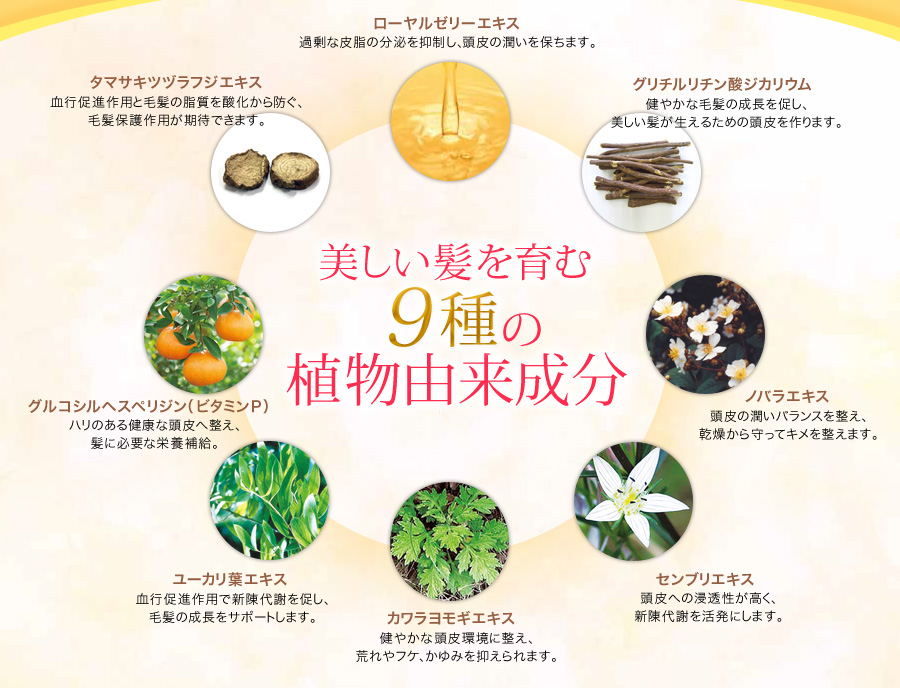 ハリ コシ ボリュームのある美しい髪へ 薬用 Rj地肌ケア エッセンス 山田養蜂場