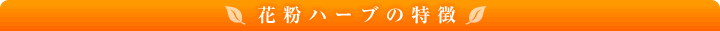ԕn[u̓