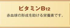 r^~B12cԌ̌`h{fłB