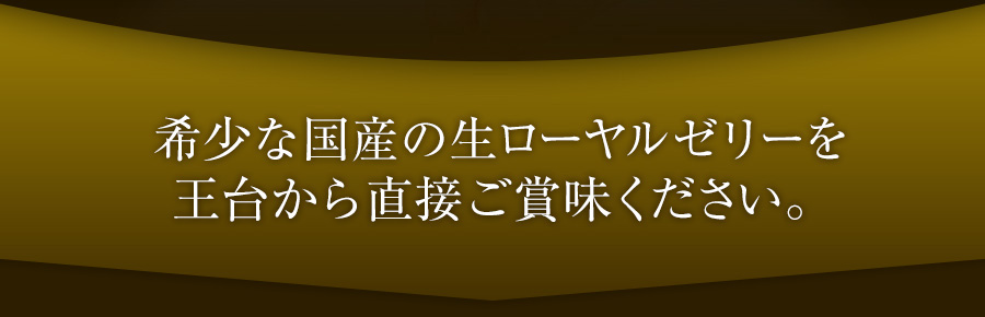 󏭂ȍY̐[[[䂩璼ڂܖB