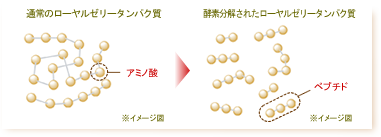 ʏ̃[[[^pNyfꂽ[[[^pN