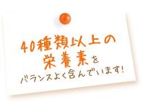 40ވȏ̉h{foX悭܂ł܂!