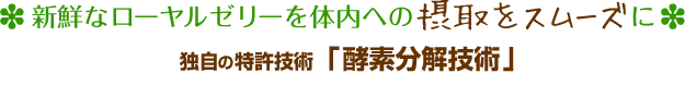 VNȃ[[[̓ւ̐ێX[YɓƎ̓ZpuyfZpv