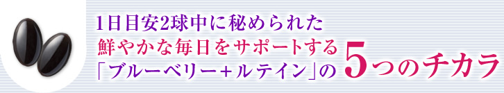 1ڈ2ɔ߂ꂽN₩ȖT|[guu[x[{eCv5̃`J
