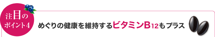 Vzڂ̃|Cg4 ߂̌Nێr^~B12vX