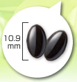 10.9mm
