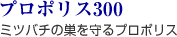 uv|X300v~co`̑v|X 