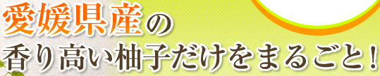 QY̍荂Mq܂邲ƁI