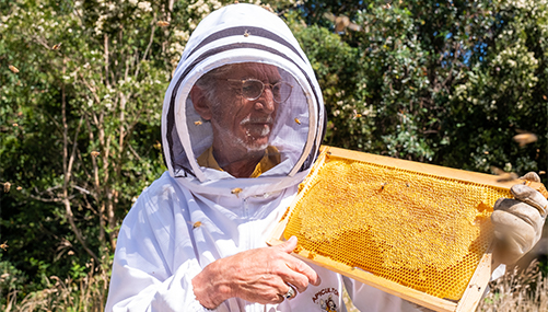 Beeワールドinチリ アピセラピー 篇｜山田養蜂場