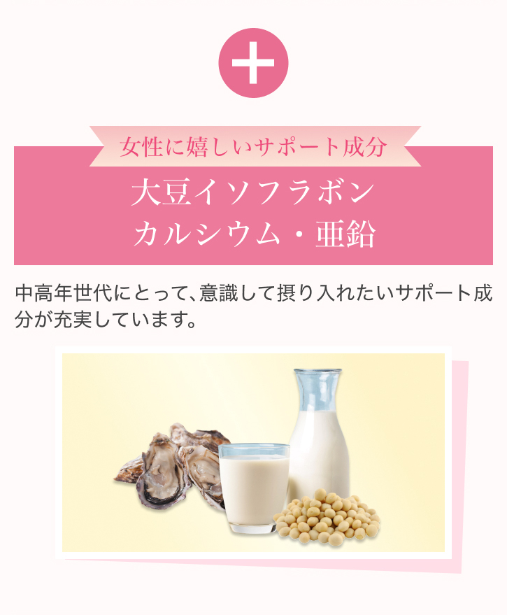 �����Ɋ������T�|�[�g���� �哤�C�\�t���{���J���V�E���E���� �����N����ɂƂ��āA�ӎ����Đۂ���ꂽ���T�|�[�g�������[�����Ă��܂��B