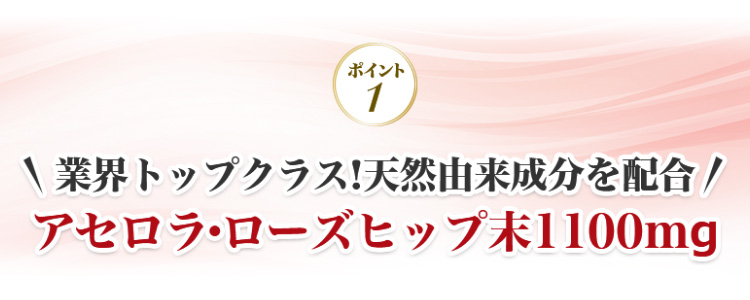 ポイント1 業界トップクラス!天然由来成分を配合 アセロラ・ローズヒップ末1100mg