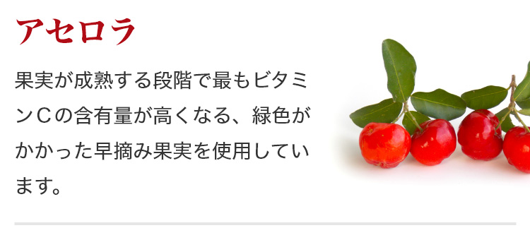 アセロラ:果実が成熟する段階で最もビタミンCの含有量が高くなる、緑色がかかった早摘み果実を使用しています。