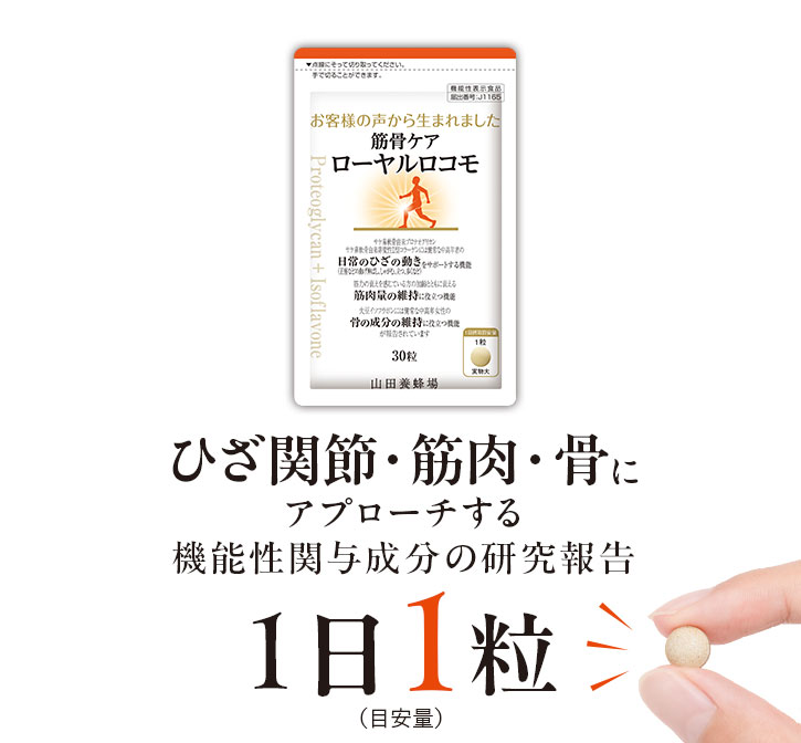 ひざ関節・筋肉・骨にアプローチする機能性関与成分の研究報告 1日1粒(目安量)