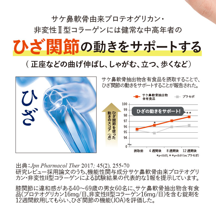 サケ鼻軟骨由来プロテオグリカン・非変性II型コラーゲンには健常な中高年者のひざ関節の動きをサポートする(正座などの曲げ伸ばし、しゃがむ、立つ、歩くなど) サケ鼻軟骨抽出物含有食品を摂取することで、ひざ関節の動きをサポートすることが報告された。 出典:Jpn Pharmacol Ther 2017; 45 (2), 255-70 研究レビュー採用論文のうち、機能性関与成分サケ鼻軟骨由来プロテオグリカン・非変性II型コラーゲンによる試験結果の代表的な1報を提示しています。 膝関節に違和感がある40~69歳の男女60名に、サケ鼻軟骨抽出物含有食品(プロテオグ リカン16mg/日、非変性II型コラーゲン16mg/日)を含む錠剤を12週間飲用してもらい、ひざ関節の機能(JOA)を評価した。