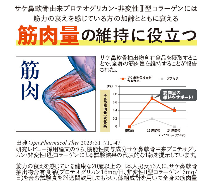サケ鼻軟骨由来プロテオグリカン・非変性II型コラーゲンには筋力の衰えを感じている方の加齢とともに衰える筋肉量の維持に役立つ サケ鼻軟骨抽出物含有食品を摂取することで、全身の筋肉量を維持することが報告された。 出典: Jpn Pharmacol Ther 2023;51 :711-47 研究レビュー採用論文のうち、機能性関与成分サケ鼻軟骨由来プロテオグリカン・非変性II型コラーゲンによる試験結果の代表的な1報を提示しています。 筋力の衰えを感じている健康な20歳以上の日本人男女56人に、サケ鼻軟骨抽出物含有食品(プロテオグリカン16mg/日、非変性II型コラーゲン16mg/日)を含む試験食を24週間飲用してもらい、体組成計を用いて全身の筋肉量を測定した。