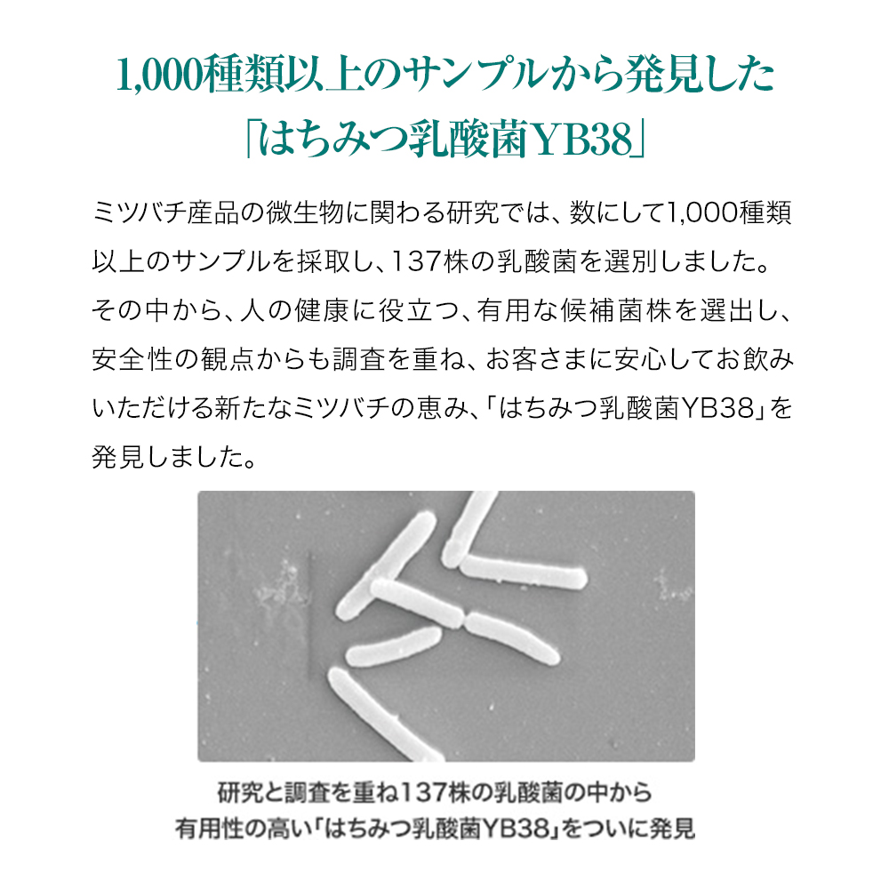 1,000種類以上のサンプルから発見した「はちみつ乳酸菌YB38」