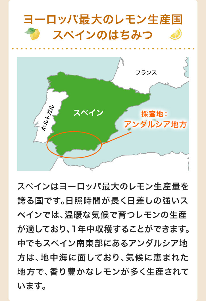 ヨーロッパ最大のレモン生産国スペインのはちみつ スペインはヨーロッパ最大のレモン生産量を誇る国です。日照時間が長く日差しの強いスペインでは、温暖な気候で育つレモンの生産が適しており、1年中収穫することができます。中でもスペイン南東部にあるアンダルシア地方は、地中海に面しており、気候に恵まれた地方で、香り豊かなレモンが多く生産されています。