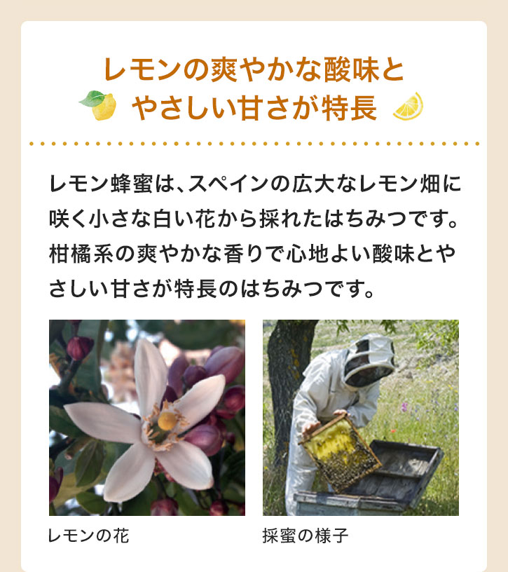 レモンの爽やかな酸味とやさしい甘さが特長 レモン蜂蜜は、スペインの広大なレモン畑に咲く小さな白い花から採れたはちみつです。柑橘系の爽やかな香りで心地よい酸味とやさしい甘さが特長のはちみつです。