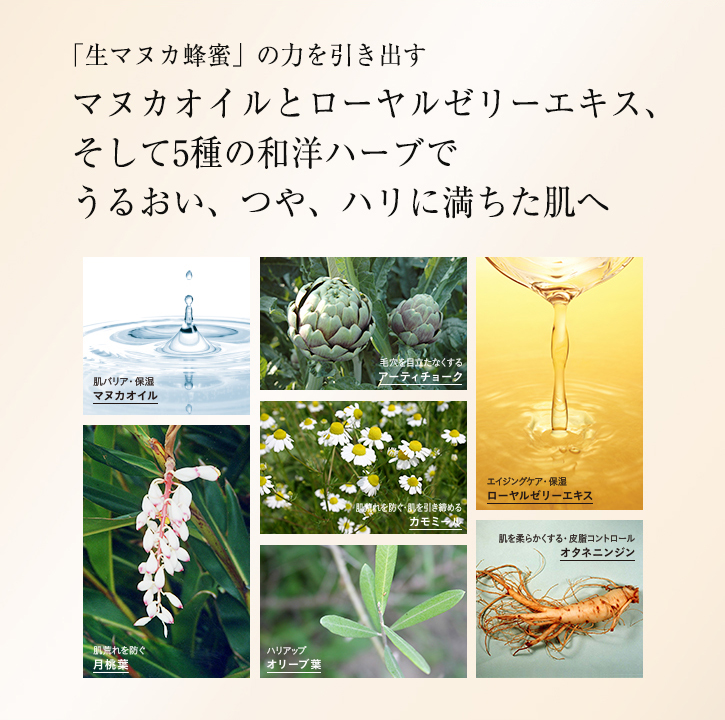 「生マヌカ蜂蜜」の力を引き出す マヌカオイルとローヤルゼリーエキス、そして5種の和洋ハーブでうるおい、つや、ハリに満ちた肌へ 肌バリア・保湿:マヌカオイル 毛穴を目立たなくする:アーティチョーク エイジングケア・保湿:ローヤルゼリーエキス 肌荒れを防ぐ:月桃葉 肌荒れを防ぐ・肌を引き締める:カモミール ハリアップ:オリーブ葉 肌を柔らかくする・皮脂コントロール:オタネニンジン