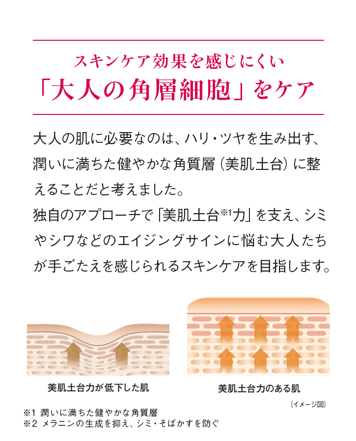 スキンケア効果を感じにくい「大人の角層細胞」をケア 大人の肌に必要なのは、ハリ・ツヤを生み出す、潤いに満ちた健やかな角質層(美肌土台)に整えることだと考えました。独自のアプローチで「美肌土台※1力」を支え、シミやシワなどのエイジングサインに悩む大人たちが手ごたえを感じられるスキンケアを目指します。 ※1 潤いに満ちた健やかな角質層 ※2 メラニンの生成を抑え、シミ・そばかすを防ぐ