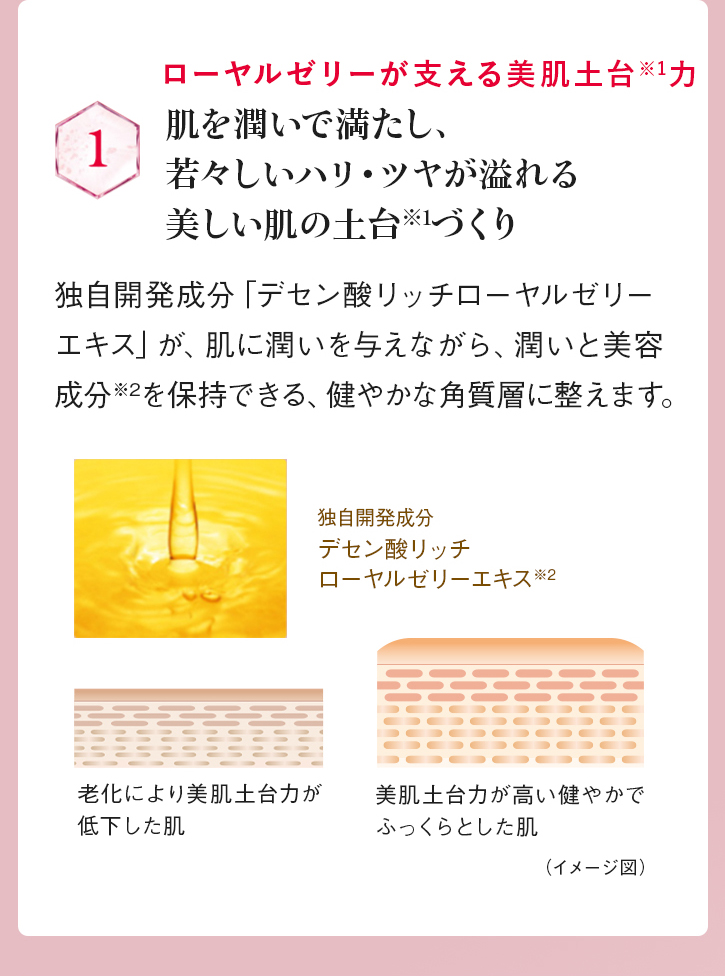 ローヤルゼリーが支える美肌土台※1力 1:肌を潤いで満たし、若々しいハリ・ツヤが溢れる美しい肌の土台※1づくり 独自開発成分「デセン酸リッチローヤルゼリーエキス」が、肌に潤いを与えながら、潤いと美容成分※2を保持できる、健やかな角質層に整えます。