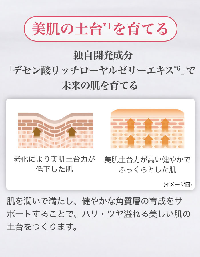 �����̓y��*1����Ă� �Ǝ��J�������u�f�Z���_���b�`���[�����[���[�G�L�X*6�v�Ŗ����̔�����Ă� ���������Ŗ������A���₩�Ȋp���w�̈琬���T�|�[�g���邱�ƂŁA�n���E�c��������������̓y�������܂��B