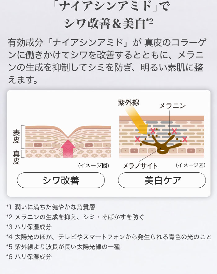 �u�i�C�A�V���A�~�h�v�ŃV�����P&����*2 �L�������u�i�C�A�V���A�~�h�v���^��̃R���[�Q���ɓ��������ăV�������P����ƂƂ��ɁA�����j���̐�����}�����ăV�~��h���A���邢�f���ɐ����܂��B *1 �����ɖ��������₩�Ȋp���w *2 �����j���̐�����}���A�V�~�E���΂�����h�� *3 �n���ێ����� *4 ���z���̂ق��A�e���r��X�}�[�g�t�H�����甭������F�̌��̂��� *5 ���O�����g�����������z�����̈�� *6 �n���ێ�����