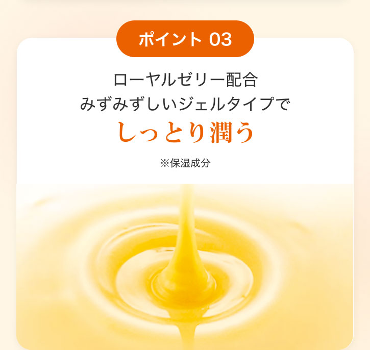 |Cg 03 [[[z݂݂WF^CvłƂ菁 ێ