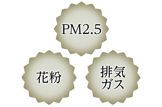 花粉 PM2.5 排気ガス