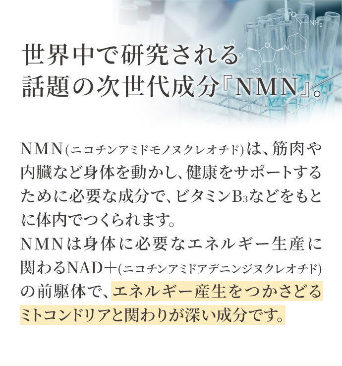 世界中で研究される 話題の次世代成分「NMN」。NMN(ニコチンアミドモノヌクレオチド)は筋肉や内臓など身体を動かし、健康をサポートするために必要な成分で、ビタミンB3などをもとに体内でつくられます。NMN身体に必要なエネルギー生産に関わるNAD+(ニコチンアミドアデニンジヌクレオチド)の前駆体で、エネルギー産生をつかさどるミトコンドリアと関わりが深い成分です。