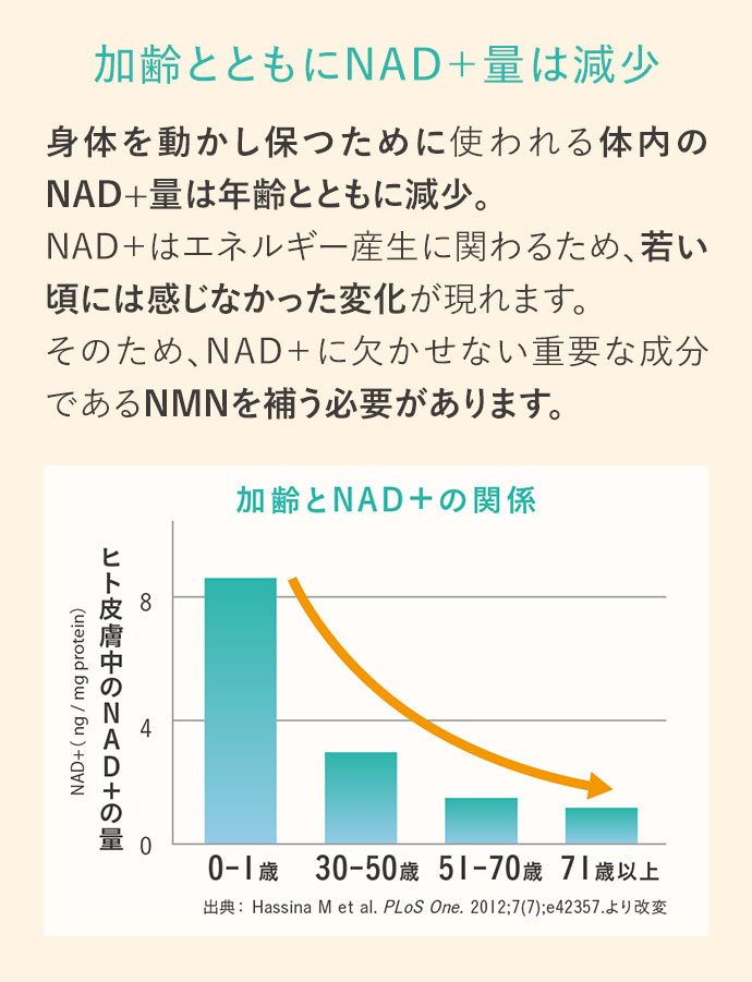 加齢とともにNAD+量は減少。身体を動かし保つために使われる体内のNAD+量は年齢とともに減少。NAD+はエネルギー産生に関わるため、若い頃には感じなかった変化が現れます。そのため、NAD+に欠かせない重要な成分であるNMNを補う必要があります。