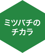 ~co`̃`J