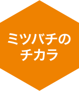 ~co`̃`J