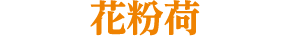 ԕ