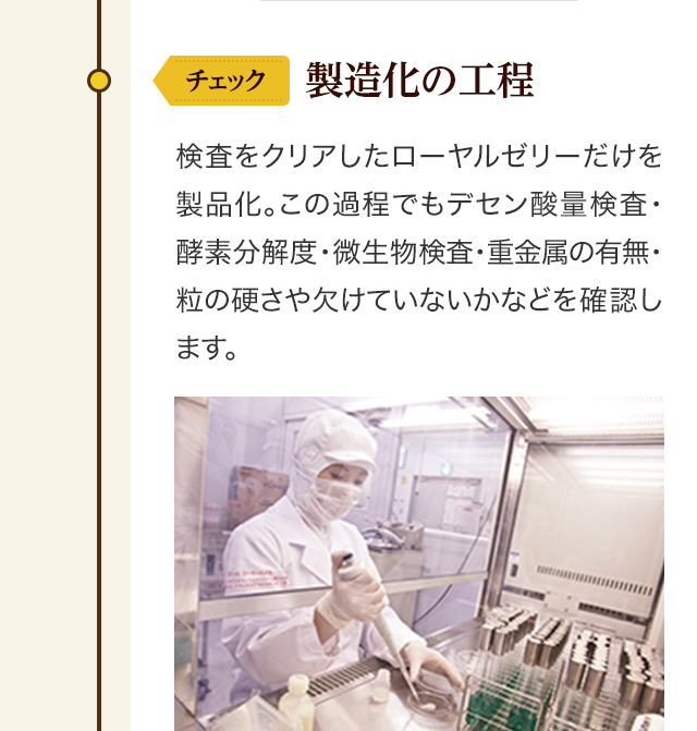製造化の工程