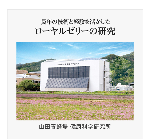 長年の技術と経験を活かしたローヤルゼリーの研究