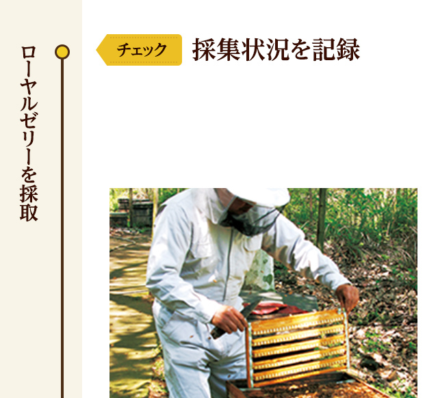 採集状況を記録