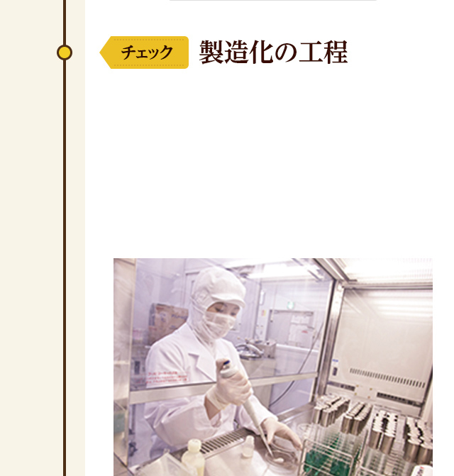 製造化の工程