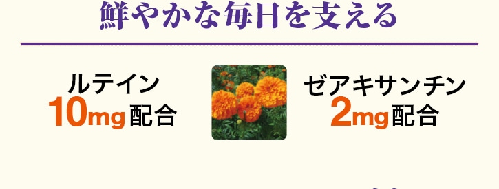 鮮やかな毎日を支える